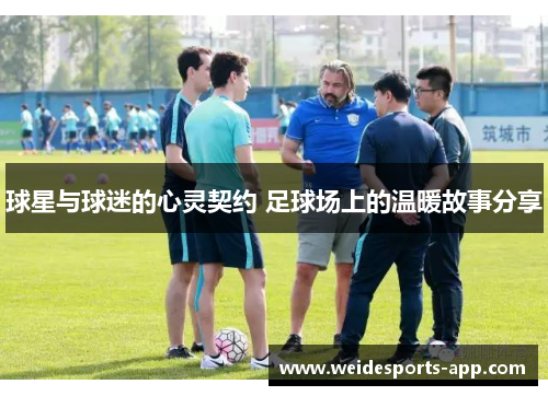 球星与球迷的心灵契约 足球场上的温暖故事分享